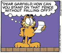 01.05.09 - Garfield illúzió