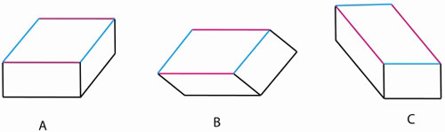 30.03.10 - Parallelogramma illúzió